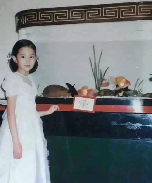 美人时光机她是中国首位迪士尼公主气质脱俗被誉为神仙姐姐