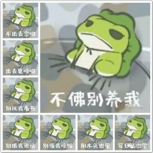 我那爱旅行的青蛙儿子,最近都去了哪里