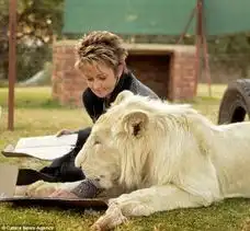 南非一女子和宠物雄狮亲密无间同睡沙发