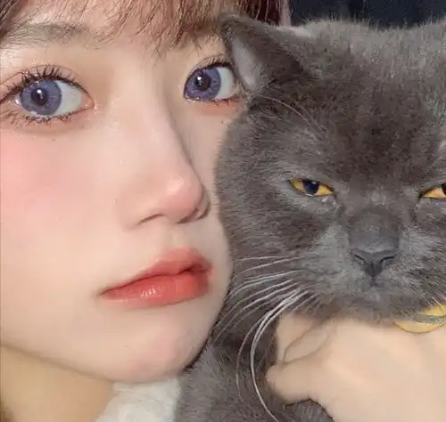 头像美女与萌宠都爱哦