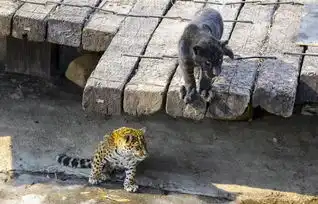 开门有礼4月17日济南野生动物世界西门正式启用