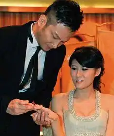 高山峰的演艺经历