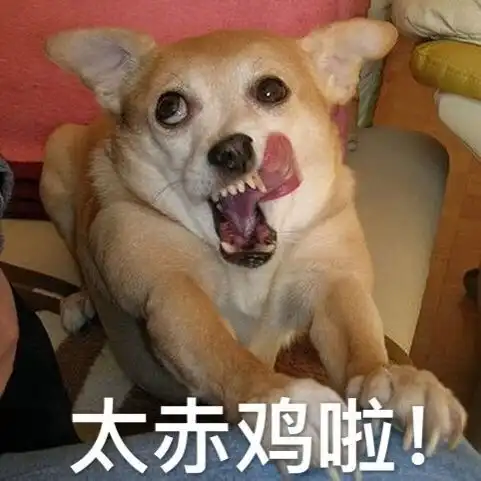 小动物可爱头像萌萌哒