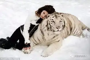 战斗民族的摄影师,就连拍个童话风也是让人瑟瑟发抖