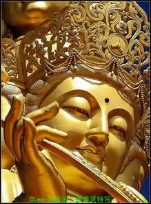 佛教微信头像禅意心态