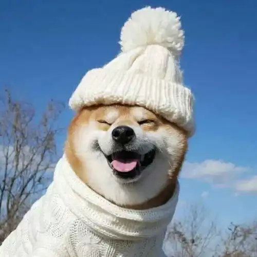 共情西政今天,你又被传染了啥