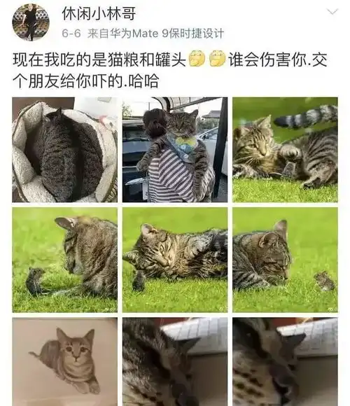 33岁杨幂自夸老子太美非主流博文骂脏话,她也是沙雕女孩