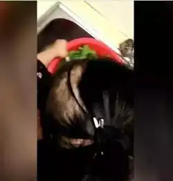 6岁的女孩可爱头像真人