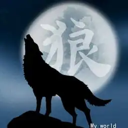 贪狼视频直播全集贪狼资料大全yy官方