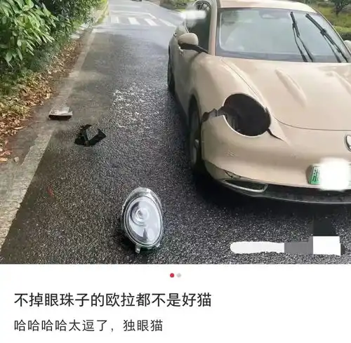 欧拉割女性韭菜热衷养猫的女车主们并不这么想