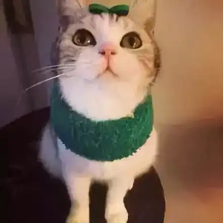 大多男生会喜欢上怎样的女生