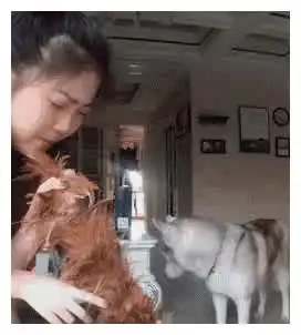 搞笑gif听说汽车每过一段时间也得保养一下