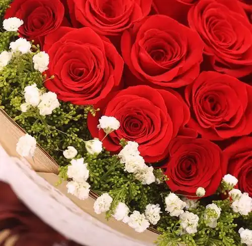 认识一个月,没牵手,还没确定关系的女生七夕能不能送花啊蓝色妖姬已经准备好了刚刚认识的女孩子情人节送贺卡怎么写