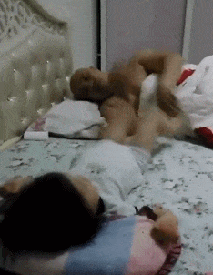 搞笑gif趣图看到这么漂亮的美女健身,你是不是有种健身的冲动