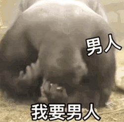 ins沙雕表情包推荐