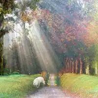 女人专用微信头像山水好