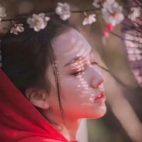 ins女生头像蝴蝶很美,终究蝴蝶飞不过沧海