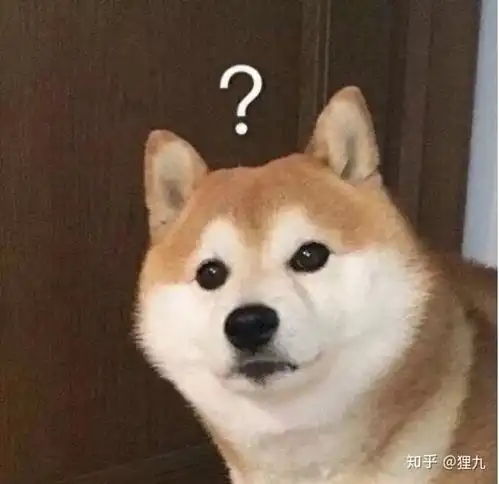 话说女生真的会因为可怜而和一个男生在一起吗