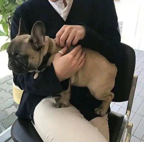 情侣头像小仙女网恋么