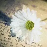 佛系女生的n项特征,你符合哪些