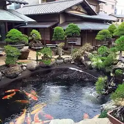 七月如何让池水清澈见底,还锦鲤清凉一夏