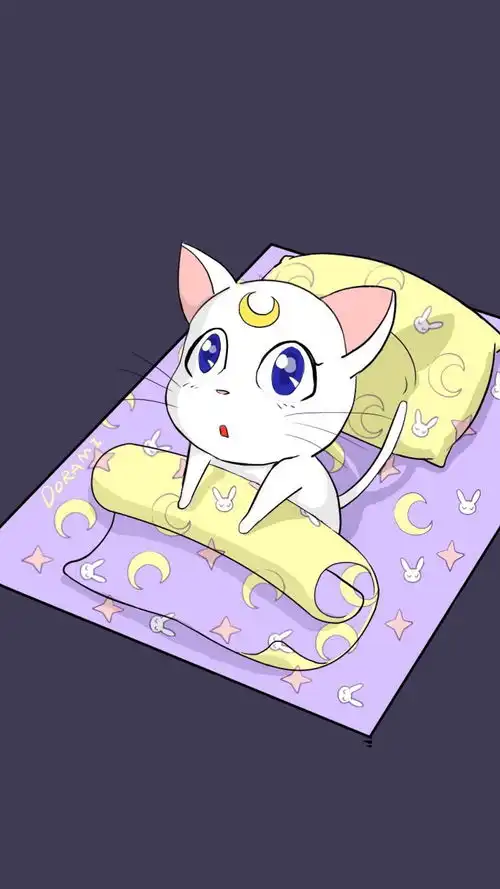 美少女战士壁纸