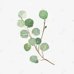 水彩植物绿叶手绘风小清新素材图片免费下载高清psd千库网图片编号11377432