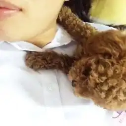 a8开户