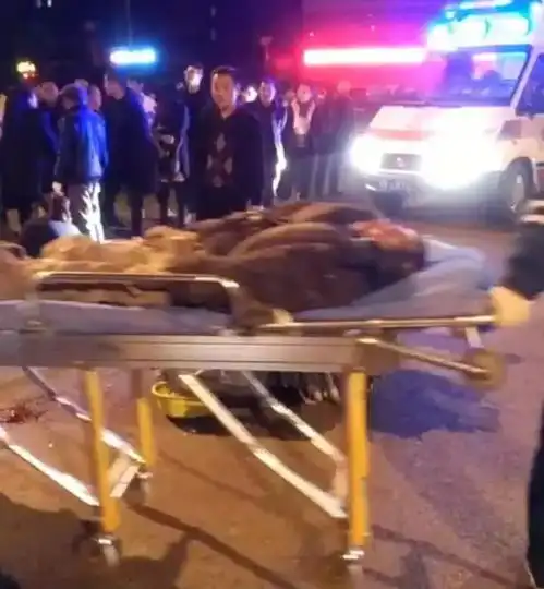 昨晚江彰大道江东华庭路段突发车祸,一老人受伤