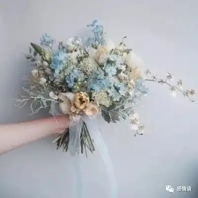彩神app官方版下载