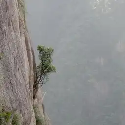 全程徒步黄山风景区3日游