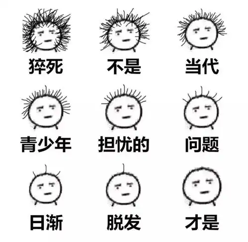 保卫发际线丨莫让发丝儿与落叶齐飞