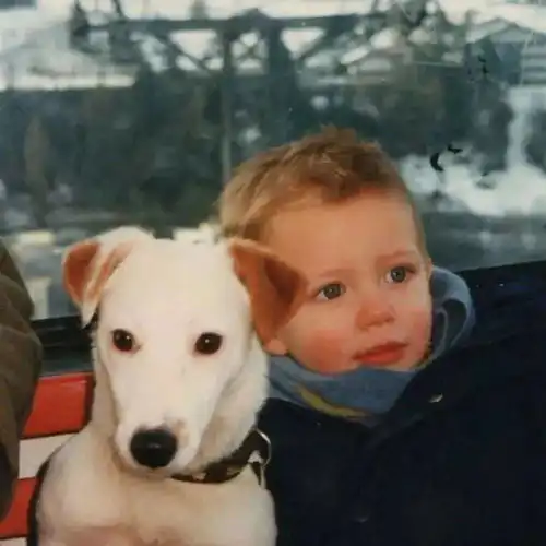 头像身有所栖,心无所安