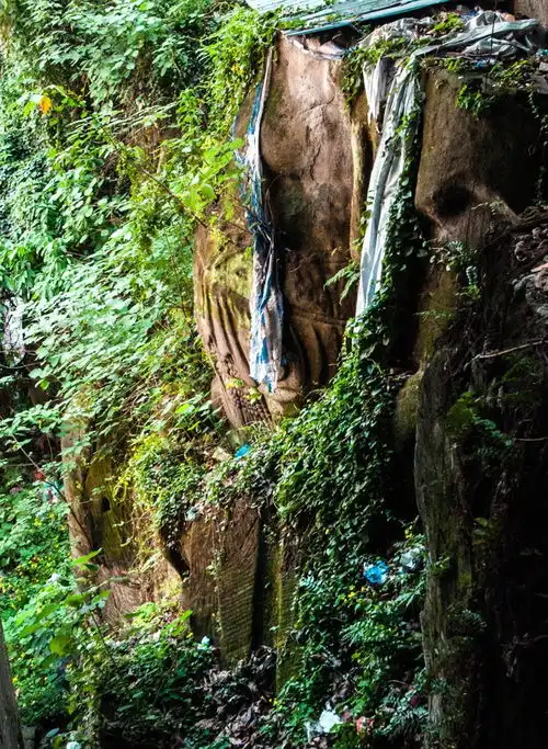 女佛头像枯山水