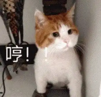 幽默笑话在公交站遇见一个长发飘飘的漂亮美女,让我心动不已