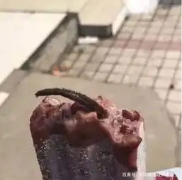 吃冰糕却吃出老鼠,女子要求超市赔偿五万,市监说最多只能赔一千