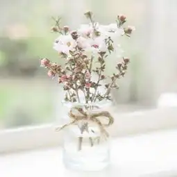 女生白色简约头像雏菊