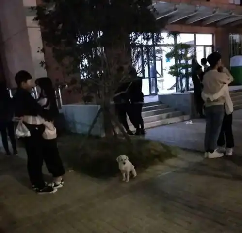 趣图一字之差,简直天壤之别啊