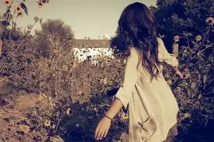 求原图.谢谢了
