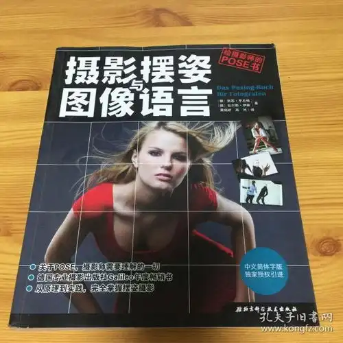 摄影摆姿与图像语言给摄影师的pose书