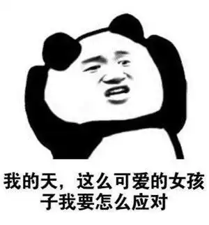 釜山人一定是男的吗ns入