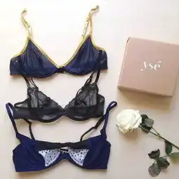 这几个颜值逆天的内衣品牌你都穿过吗