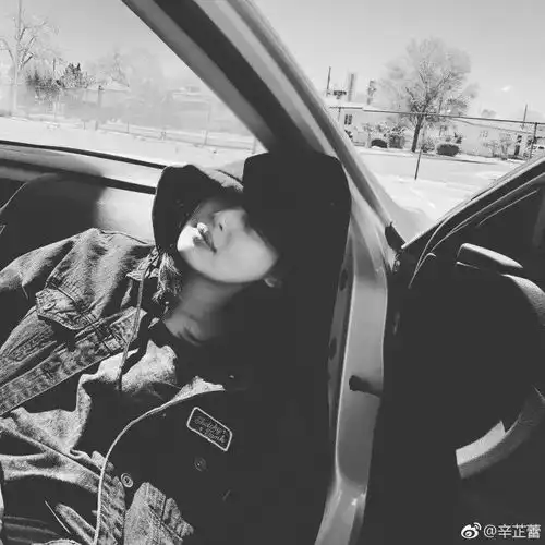 高冷女神暴躁直男,这一对真在一起会打起来吗