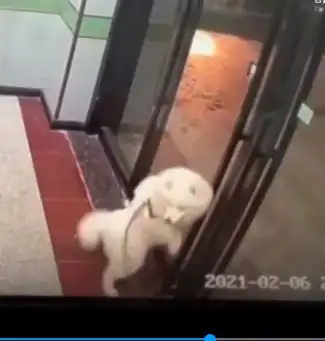 女孩货拉拉跳车身亡司机作案的可能性不大