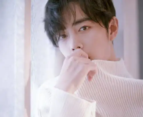 肖战真的整容了吗当他父母的颜值曝光后,整没整容一目了然