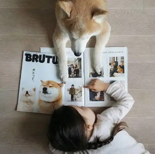 征稿丨首届顽皮宠物摄影大赛,机票,门票4999元现金大奖在等你