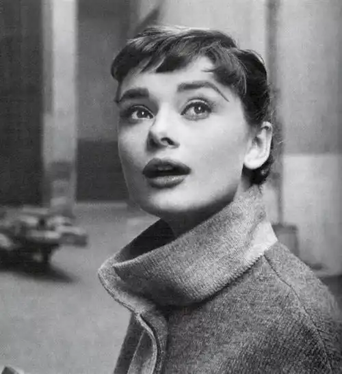 美女做头像的图片奥黛莉