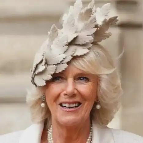 卡米拉是史上最丑的王后翻王室照片笑了查尔斯也不是一幅油画