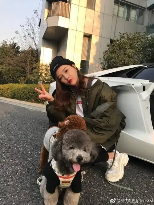 王思聪带柯基坐私人飞机,换女友顺便把宠物也换了