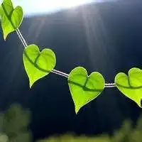 我在看孤独风景头像微信头像图片大全